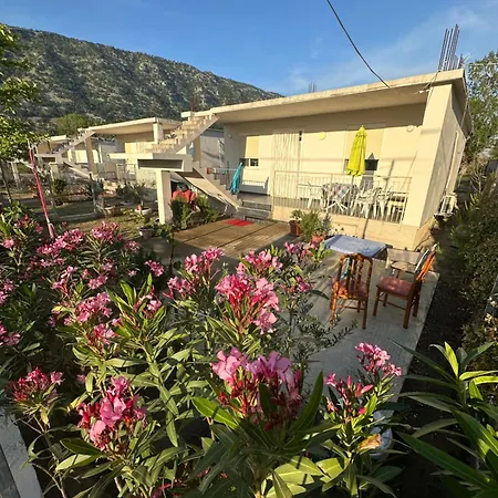 Eriona * Baks-Rrjoll